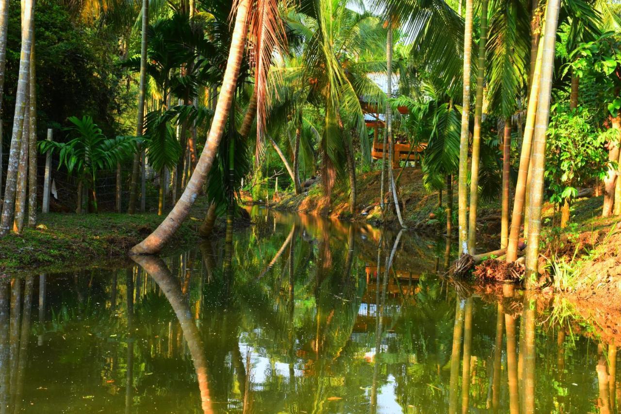 Wild Lake Side Udawalawe Exterior photo